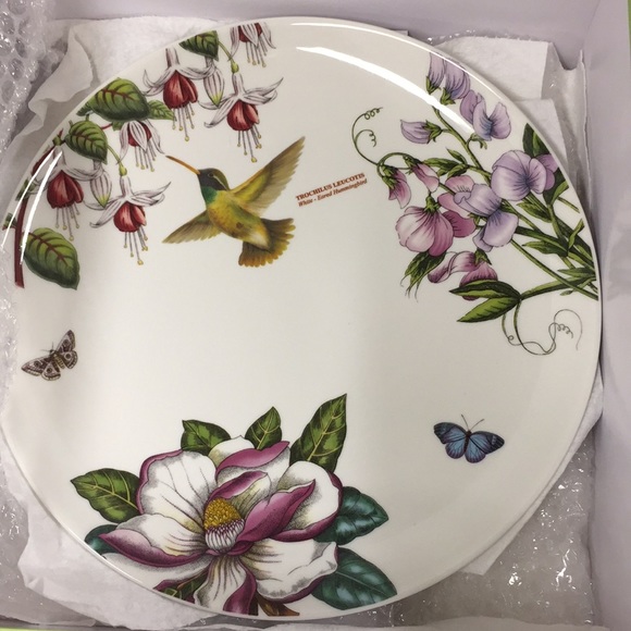 SOLD Botanic Hummingbird by Portmeirion Place - Picture 8 of 12